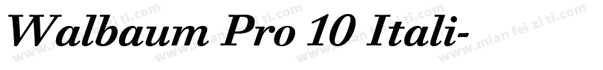 Walbaum Pro 10 Itali字体转换